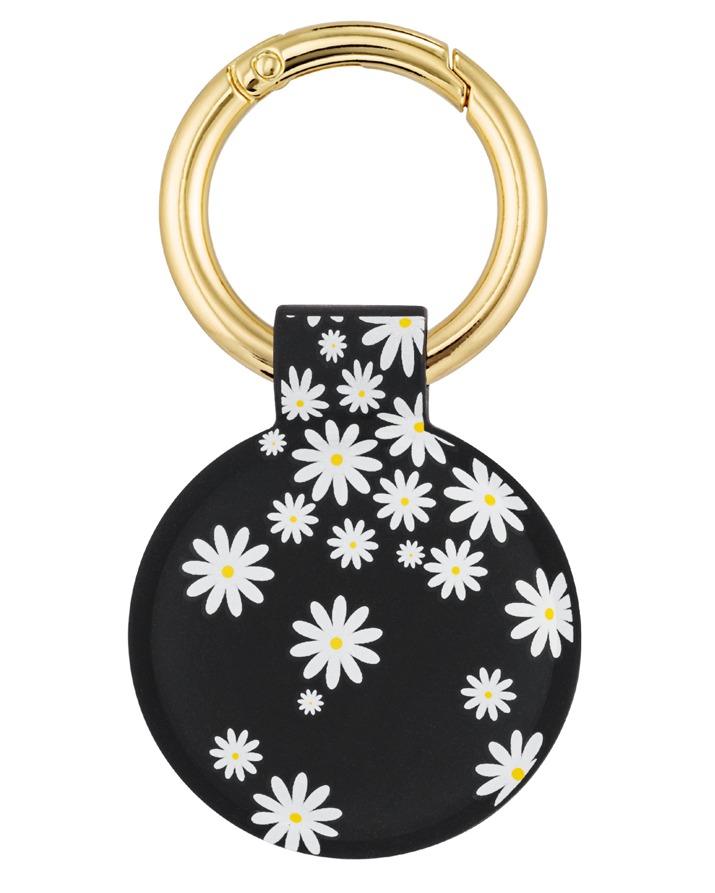 #color_daisy darling